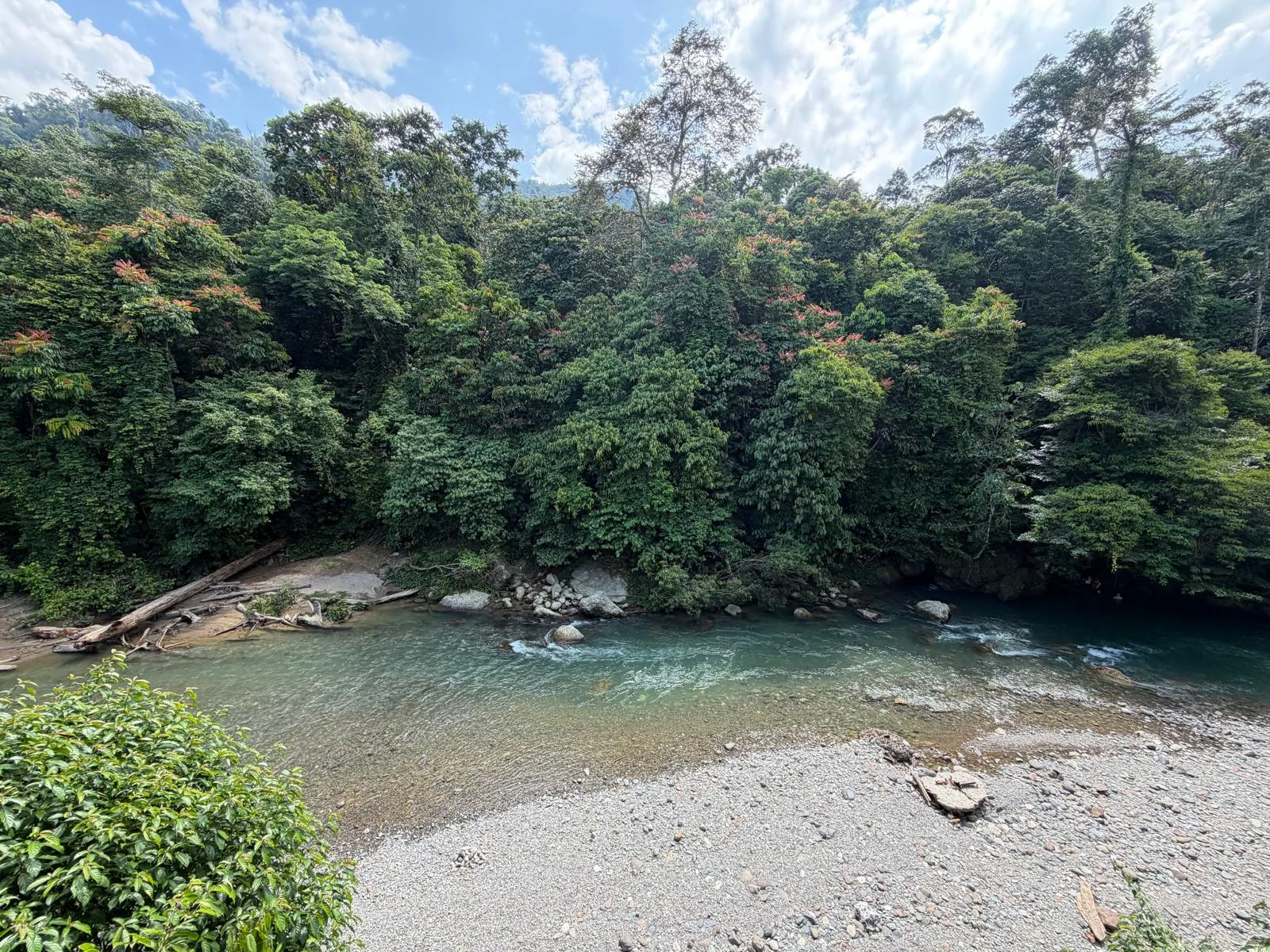 Bukit Lawang cover landscape