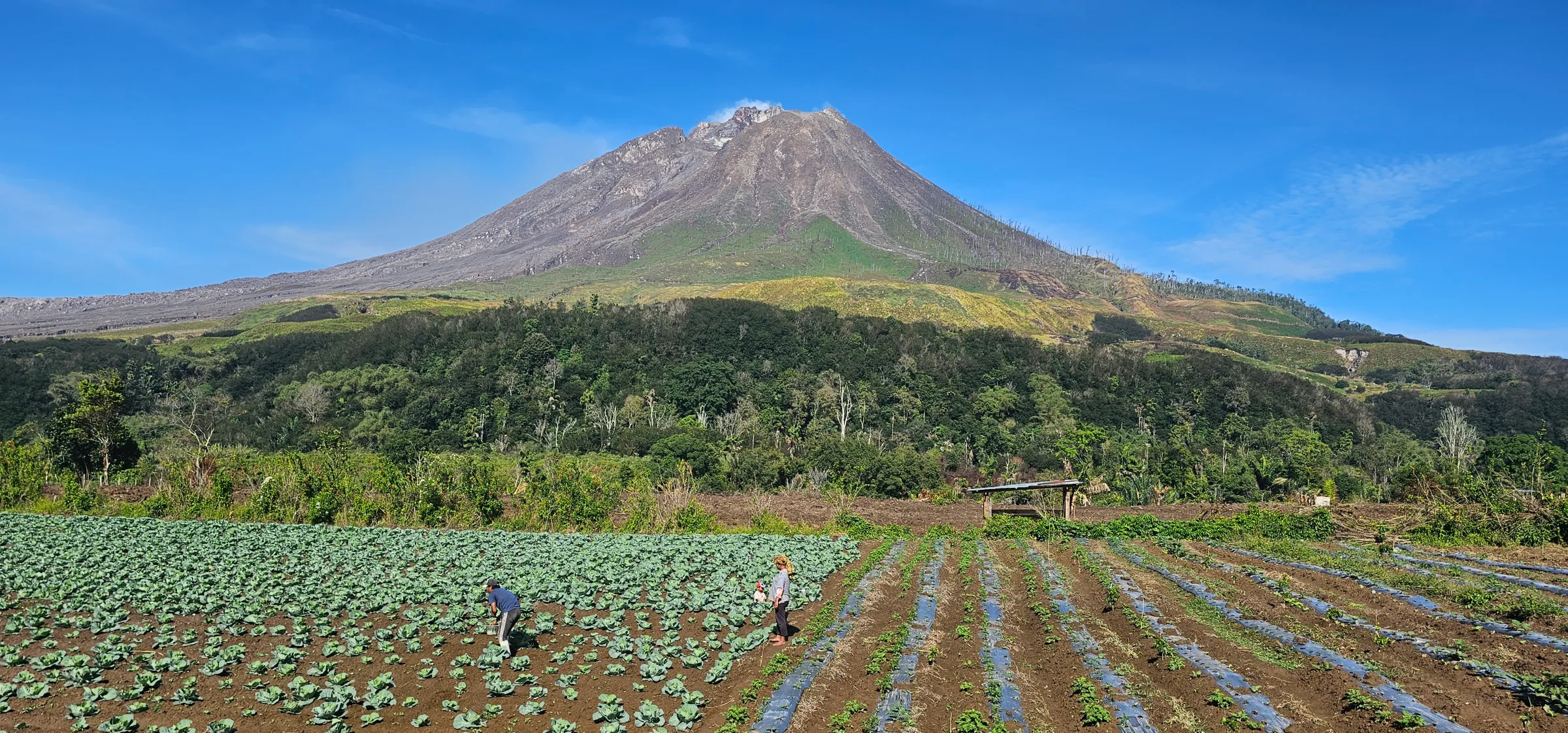 Berastagi cover landscape